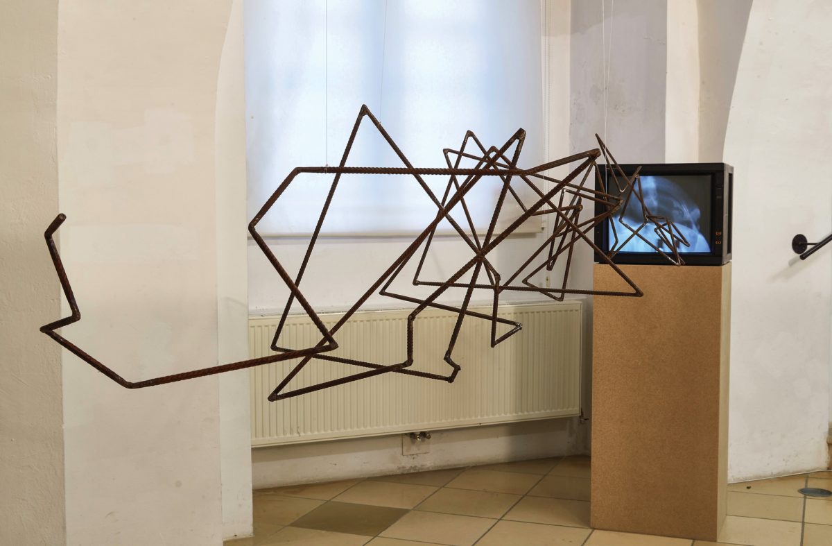 Formstudie III (am Beispiel Joseph Beuys), 2016, Clemens Tschurtschenthaler, Foto: Birgit und Peter Kainz 