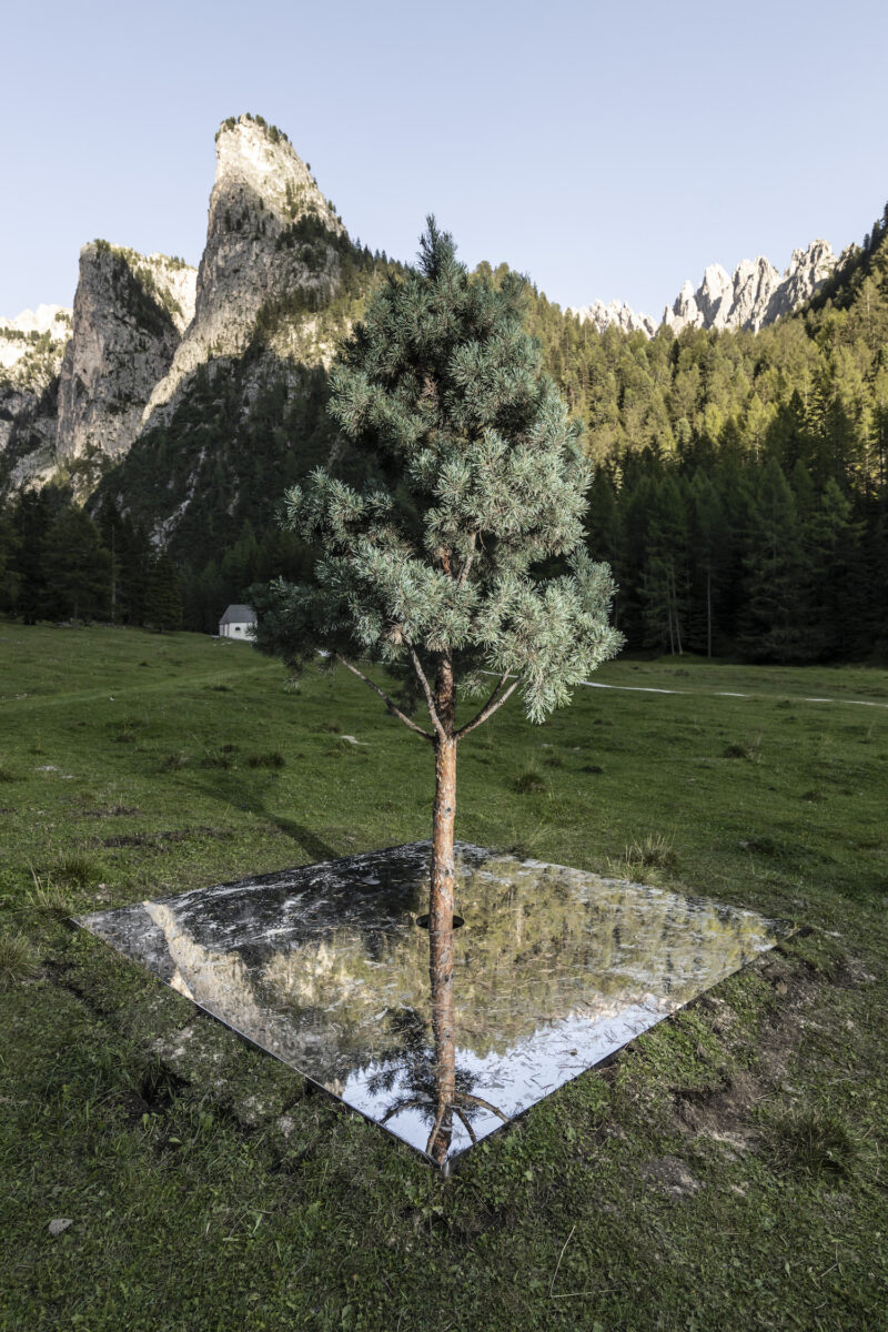 Henrik Håkansson, A Tree Mirrored (Pinus Cembra), 2020. Installation. Courtesy of the artist and Galleria Franco Noero, Torino. Ph. T.Sorvillo L.Guadagnini