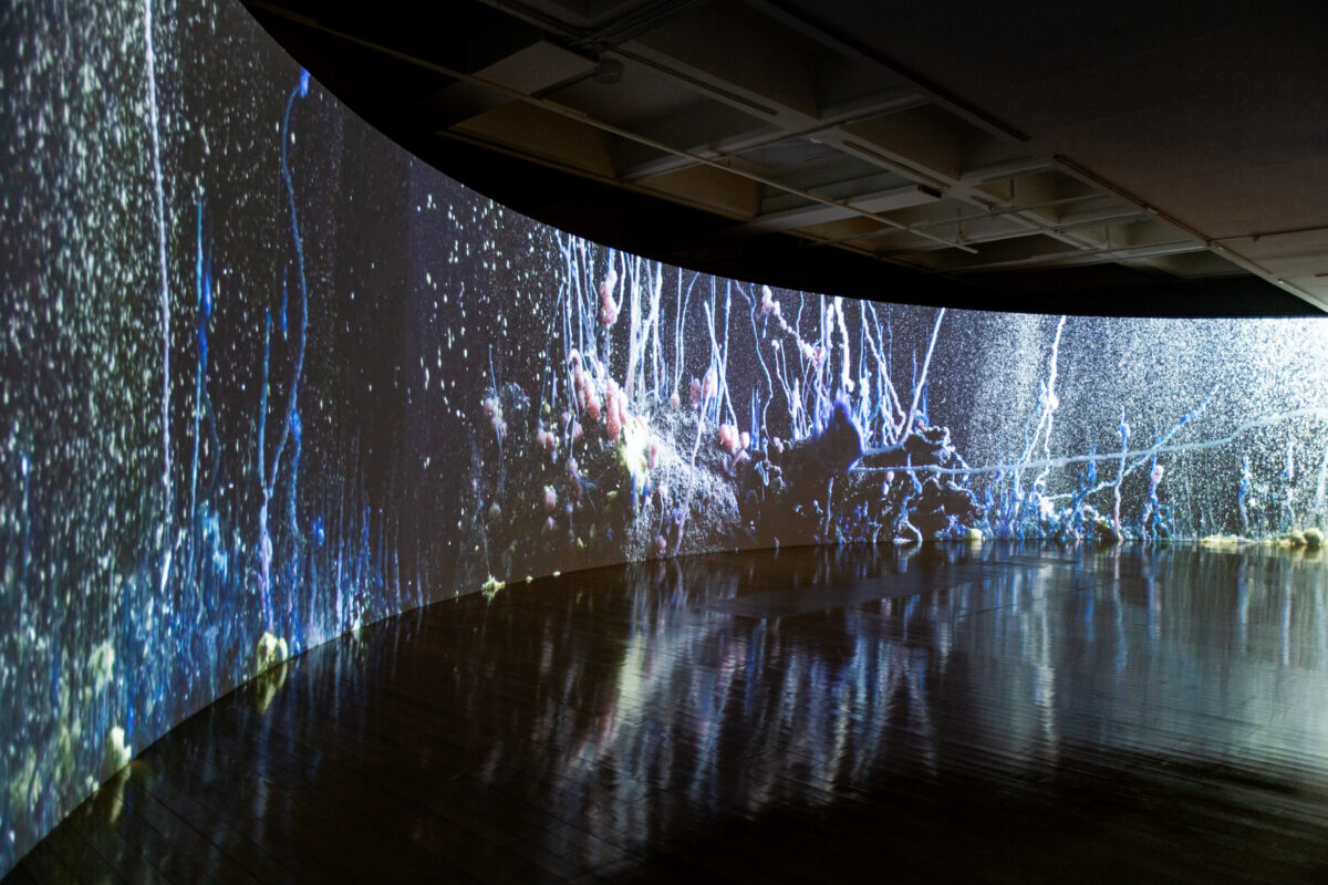Hicham BERRADA, Présage, 2020, video installation, 10 mins 11 secs. Courtesy of the Artist and Taipei Fine Arts Museum